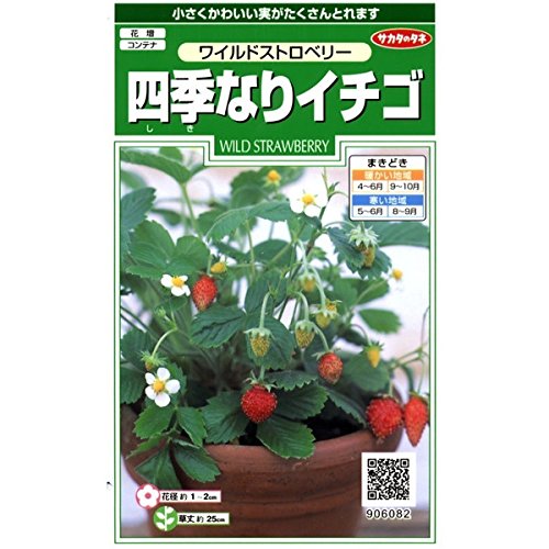 Amazon.co.jp: サカタのタネ 四季なりイチゴ : DIY・工具・ガーデン